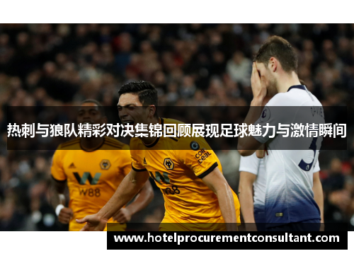 热刺与狼队精彩对决集锦回顾展现足球魅力与激情瞬间