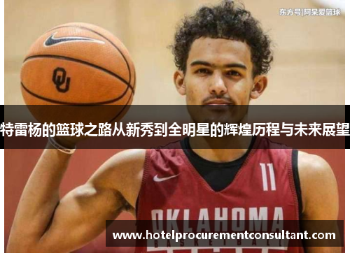 特雷杨的篮球之路从新秀到全明星的辉煌历程与未来展望